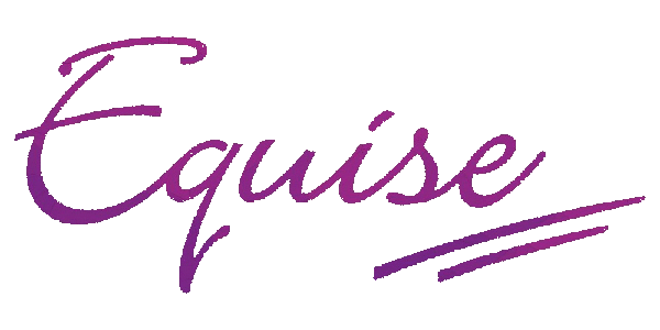 Equise Logo