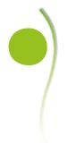 Original-Logo