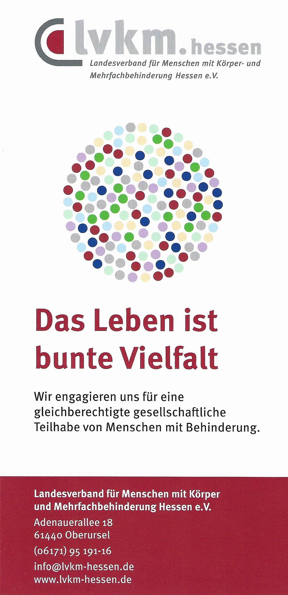 Flyer lvkm-hessen