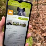 Display eines Smartphones mit der App der Wildschweinroute