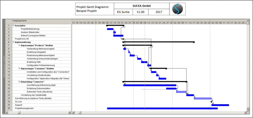 SUCEA Beispiel: Projektplan